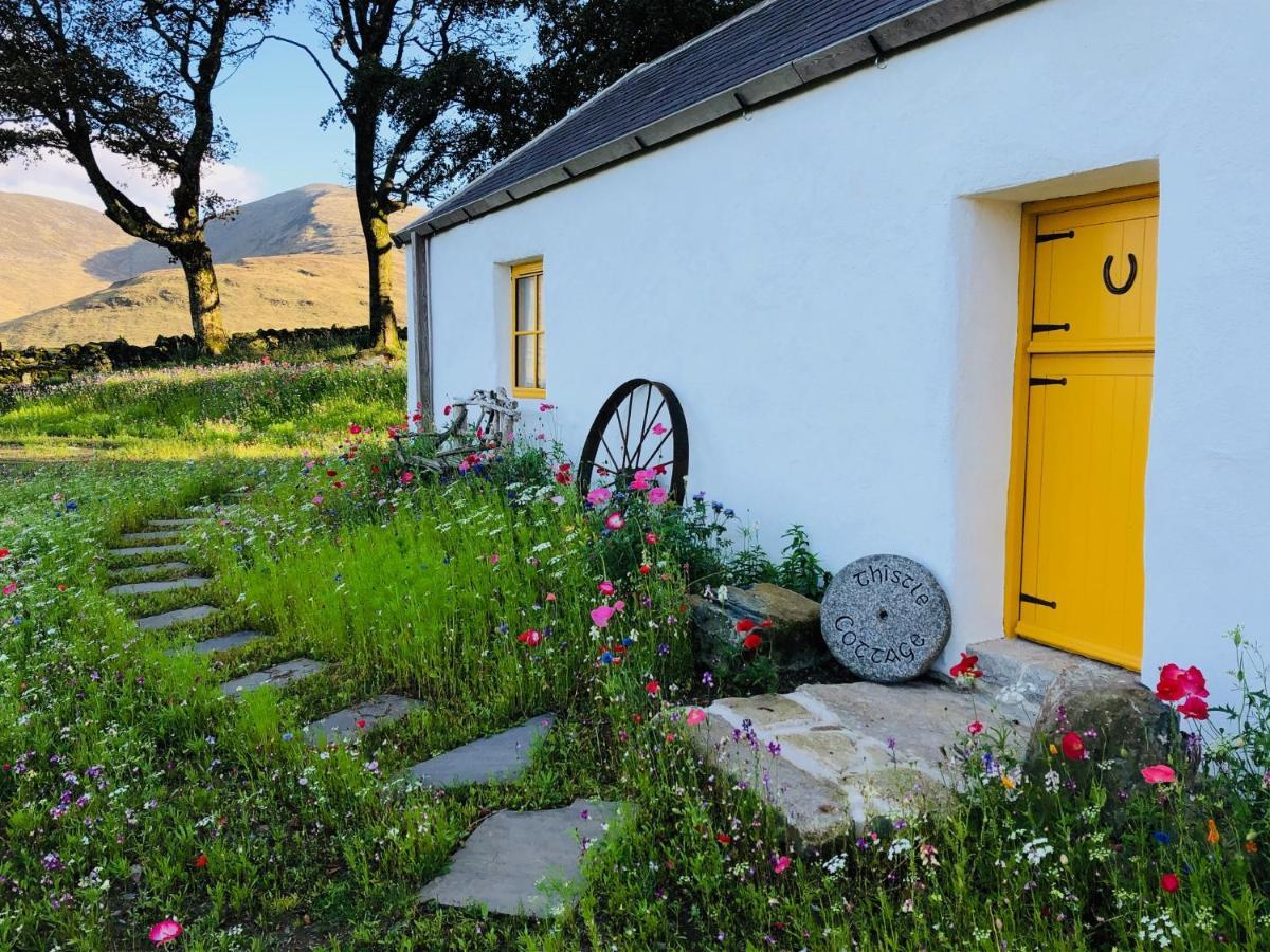 Thistle Thatch Cottage And Hot Tub - Mourne Mountains นิวคาสเซิล ภายนอก รูปภาพ