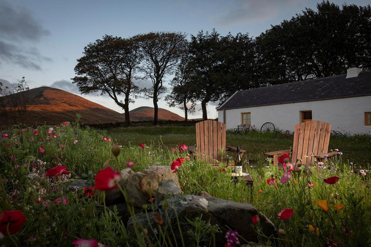 Thistle Thatch Cottage And Hot Tub - Mourne Mountains นิวคาสเซิล ภายนอก รูปภาพ